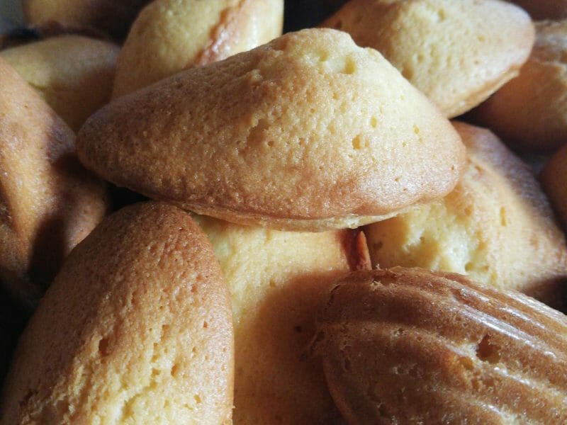 Cliquez pour zoomer ! Madeleines Thermomix par Virginie-ludo