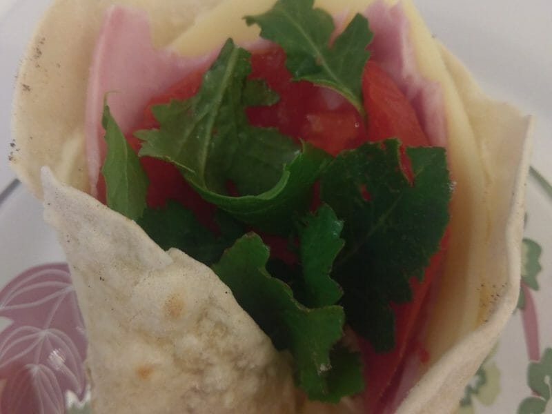 Cliquez pour zoomer ! Tortillas de blé Thermomix par Lucierosa