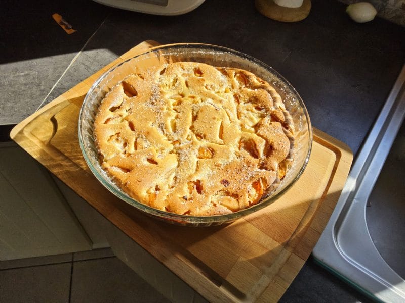 Cliquez pour zoomer ! Far aux abricots Thermomix par valou33830