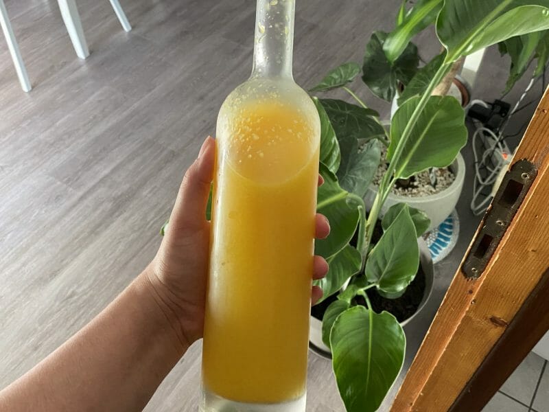 Cliquez pour zoomer ! Shot gingembre orange Thermomix par lucille_32