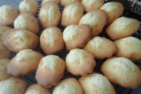 Photos des recettes