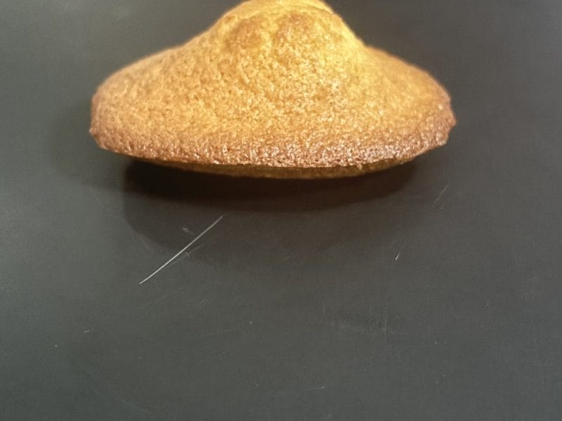 Cliquez pour zoomer ! Madeleines Thermomix par Douceursucrée
