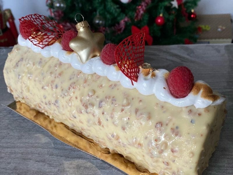 Cliquez pour zoomer ! Bûche citron et framboises Thermomix par Douceursucrée