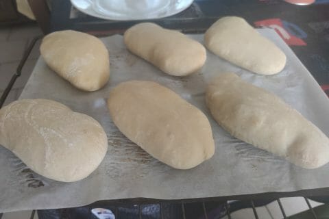 Cliquez pour zoomer ! Panini Thermomix par ninique14