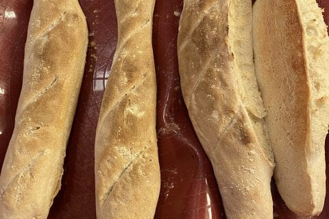 Cliquez pour zoomer ! Photo de silkeegea