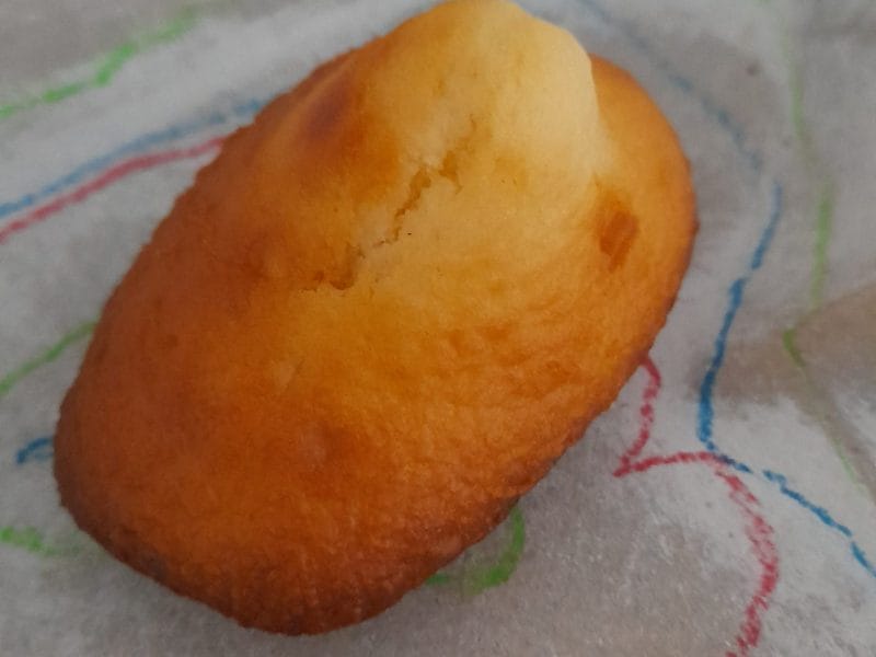 Cliquez pour zoomer ! Madeleines au yaourt Thermomix par bibou2019