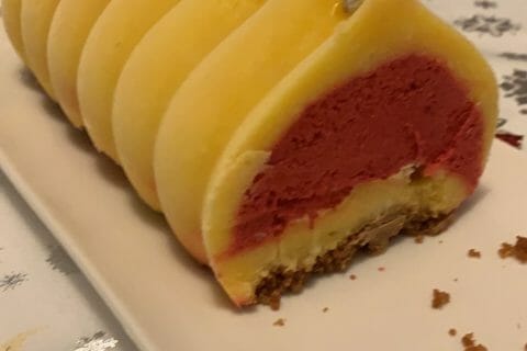 Cliquez pour zoomer ! Bûche glacée mangue et framboise Thermomix par mathilde_342