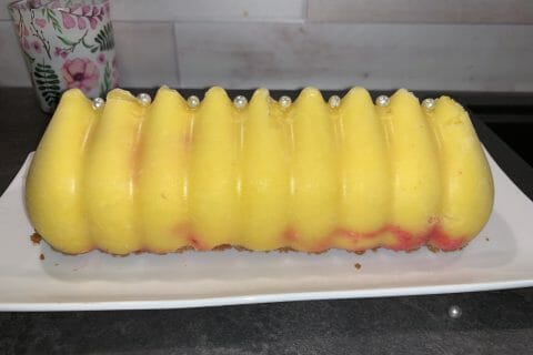 Cliquez pour zoomer ! Bûche glacée mangue et framboise Thermomix par mathilde_342