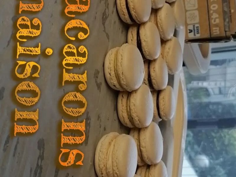 Cliquez pour zoomer ! Macarons Thermomix par emilie_804