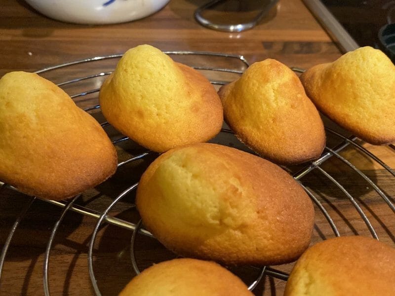 Cliquez pour zoomer ! Madeleines Thermomix par anais67920