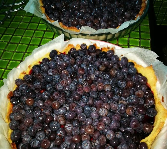 Cliquez pour zoomer ! Tarte aux myrtilles Thermomix par PITOU18