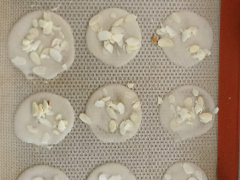 Cliquez pour zoomer ! Tuiles aux amandes Thermomix par Sebetkris