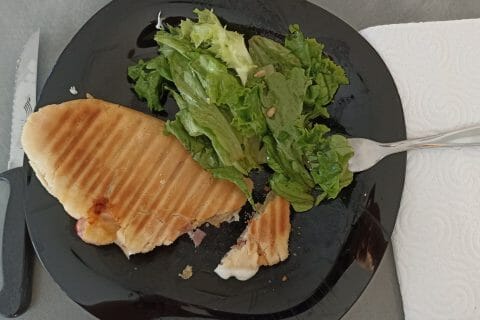 Cliquez pour zoomer ! Panini Thermomix par Sebetkris