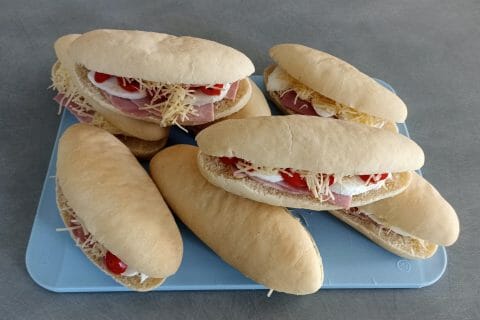 Cliquez pour zoomer ! Panini Thermomix par Sebetkris