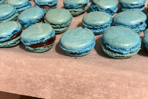 Cliquez pour zoomer ! Photo de Conga