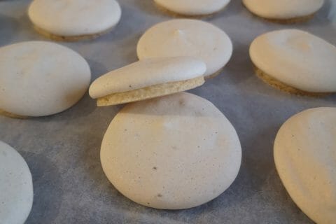 Anis Bredele Au Thermomix Cookomix