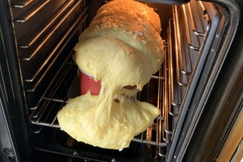 Cliquez pour zoomer ! Brioche vaporeuse Thermomix par sandrine33710