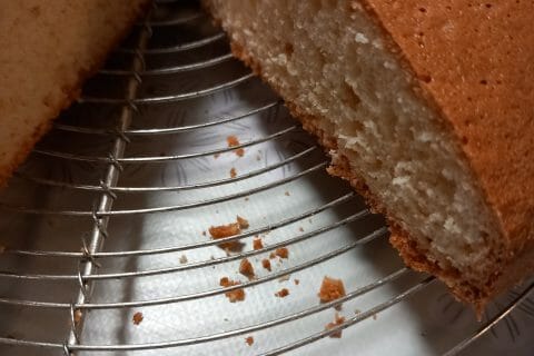 Cliquez pour zoomer ! Le gâteau suédois de Castor Thermomix par leonardonly