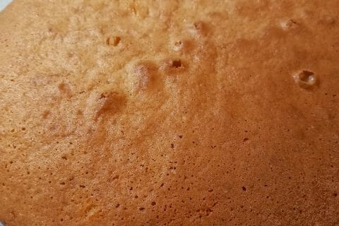 Cliquez pour zoomer ! Le gâteau suédois de Castor Thermomix par leonardonly