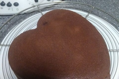 Cliquez pour zoomer ! Photo de leonardonly