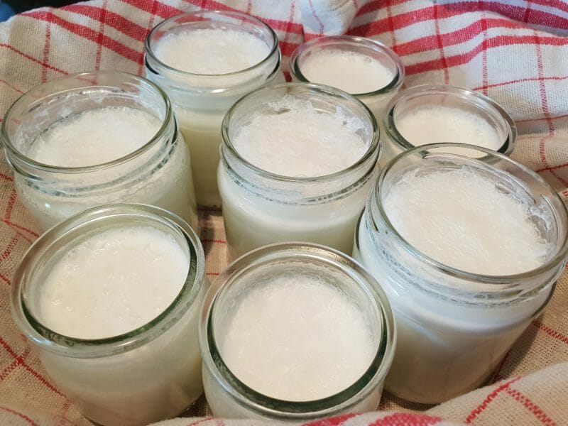 Cliquez pour zoomer ! Yaourt au Varoma Thermomix par Caroline