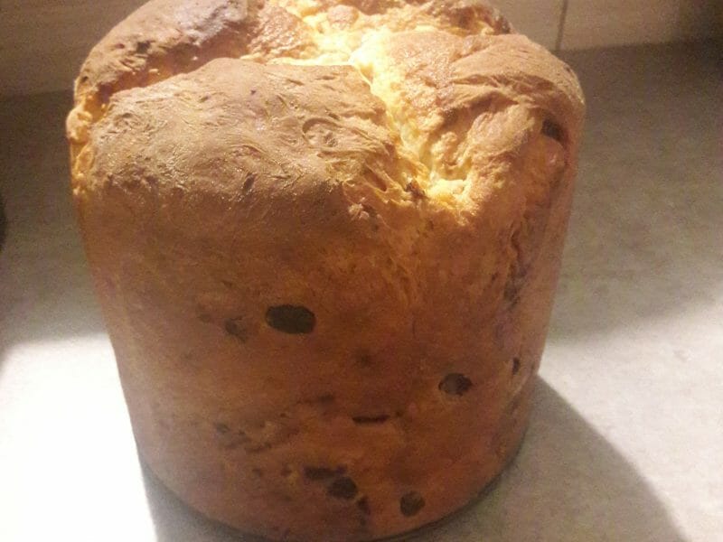 Cliquez pour zoomer ! Panettone Thermomix par Nanymeli