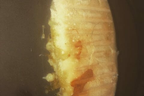 Cliquez pour zoomer ! D1AD7143-156A-403C-90AE-02DDF48616ED