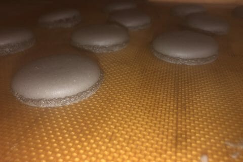 Cliquez pour zoomer ! IMG_5606