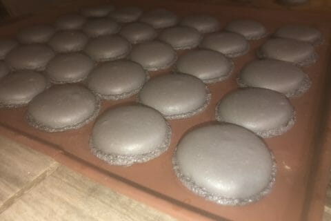 Cliquez pour zoomer ! IMG_5608