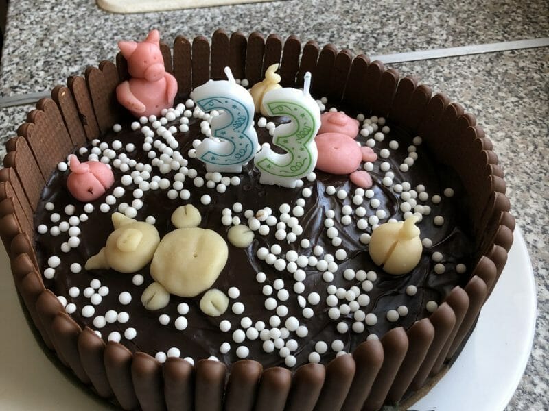 Cliquez pour zoomer ! La mare aux cochons Thermomix par sandra_450