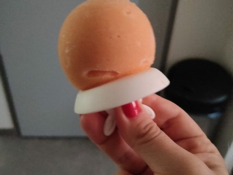 Cliquez pour zoomer ! Sorbet melon Thermomix par Krisiana