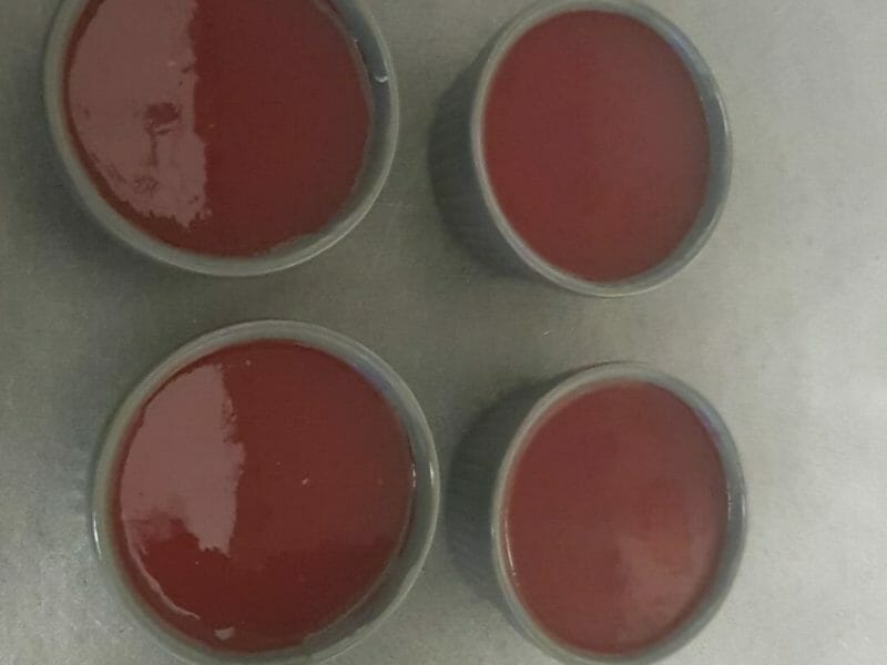 Cliquez pour zoomer ! Panna Cotta Thermomix par fanny_343