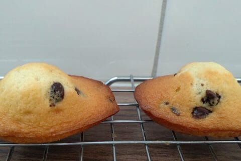 Cliquez pour zoomer ! Madeleines Thermomix par Mi reille