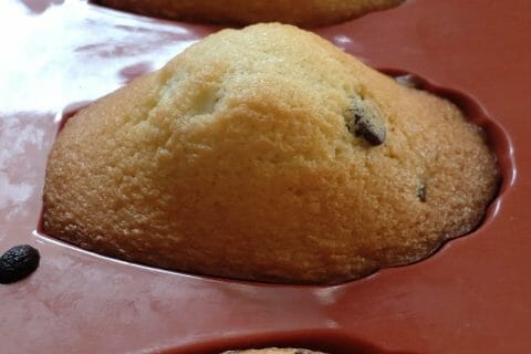 Cliquez pour zoomer ! Madeleines Thermomix par Mi reille