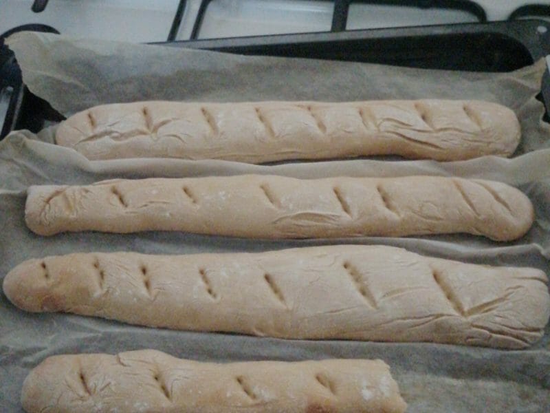 Cliquez pour zoomer ! Baguettes Thermomix par zoralain