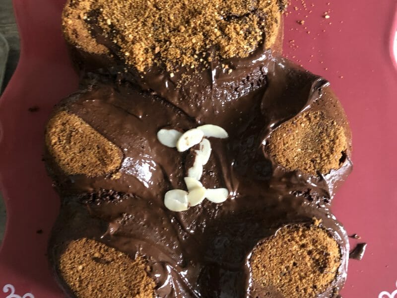 Cliquez pour zoomer ! Gâteau au yaourt et chocolat Thermomix par Mamoumag