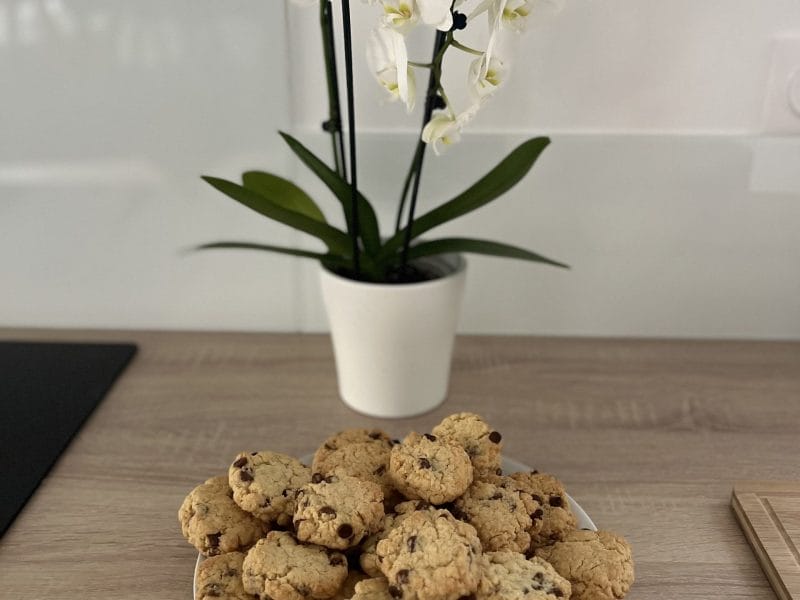 Cliquez pour zoomer ! Cookies américains Thermomix par pauline_594
