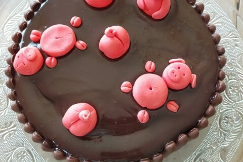 Cliquez pour zoomer ! La mare aux cochons Thermomix par aurel_35
