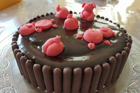 Cliquez pour zoomer ! La mare aux cochons Thermomix par aurel_35