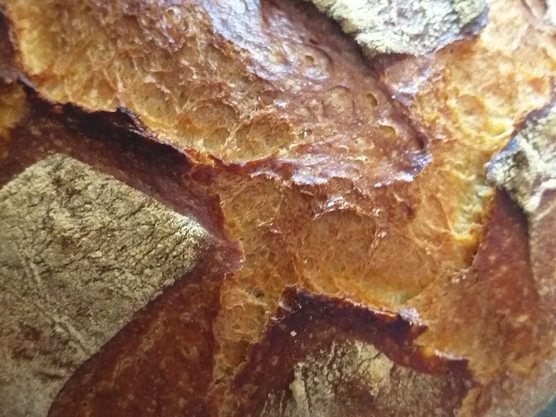 Cliquez pour zoomer ! Pain Cocotte Thermomix par sabyd