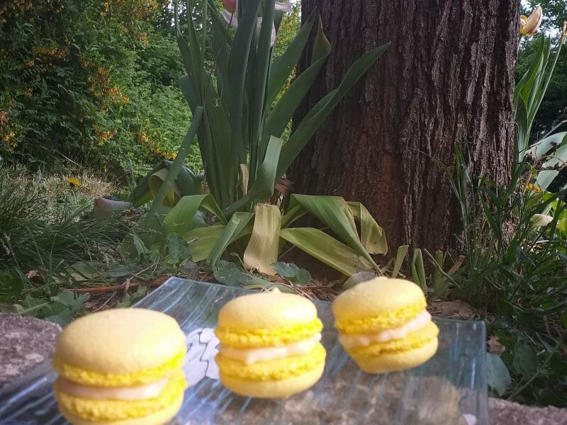 Cliquez pour zoomer ! Macarons Thermomix par sabyd