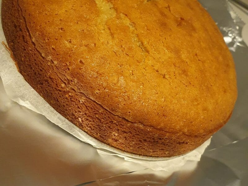 Cliquez pour zoomer ! Gâteau au yaourt Thermomix par lorene6942