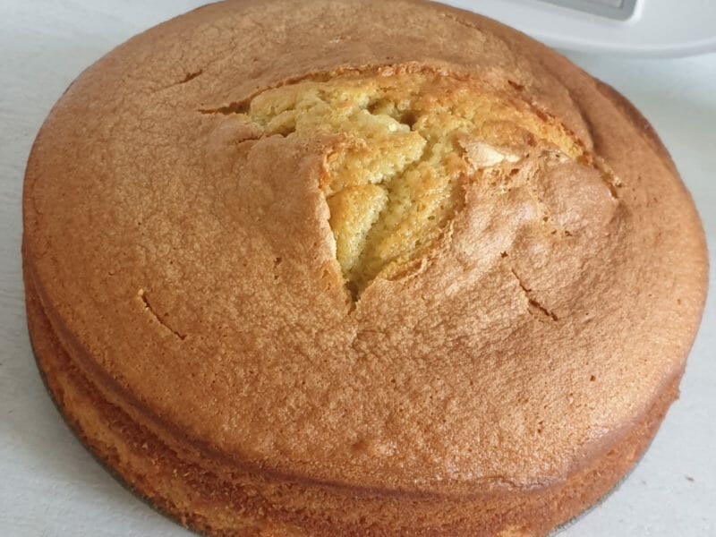 Cliquez pour zoomer ! Gâteau au vin blanc Thermomix par lorene6942