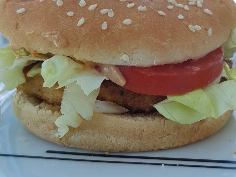 Cliquez pour zoomer ! Steak haché de poulet Thermomix par kd82photos