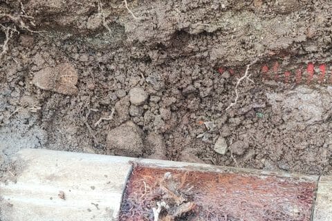 Cliquez pour zoomer ! Photo de Véromix ☺️