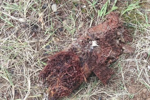 Cliquez pour zoomer ! Photo de Véromix ☺️