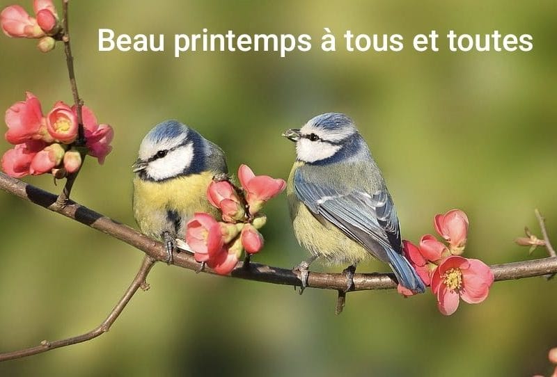 Cliquez pour zoomer ! Photo de Véromix ☺️ Thermomix par Véromix ☺️