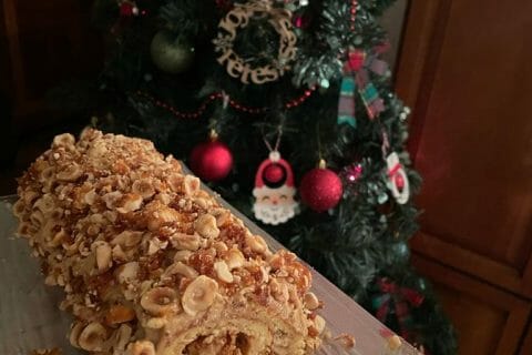 Cliquez pour zoomer ! Bûche pralinée aux éclats de noisettes caramélisés Thermomix par Véromix ☺️