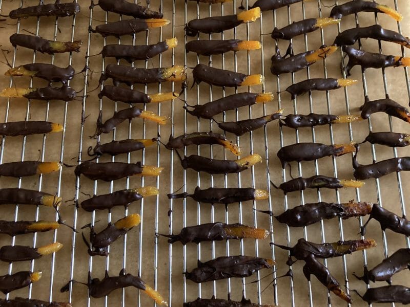 Cliquez pour zoomer ! Orangettes Thermomix par zoreole30