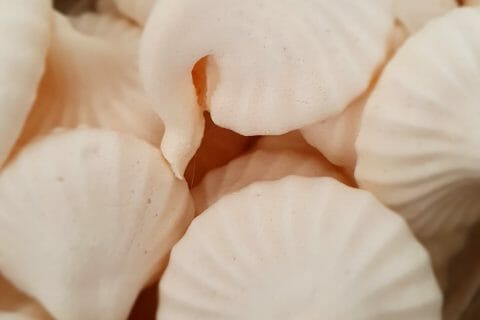 Cliquez pour zoomer ! Meringues au Thermomix